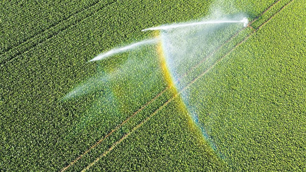 Bis zum Mittwoch steigen die Temperaturen in Deutschland. Foto: Julian Stratenschulte/dpa