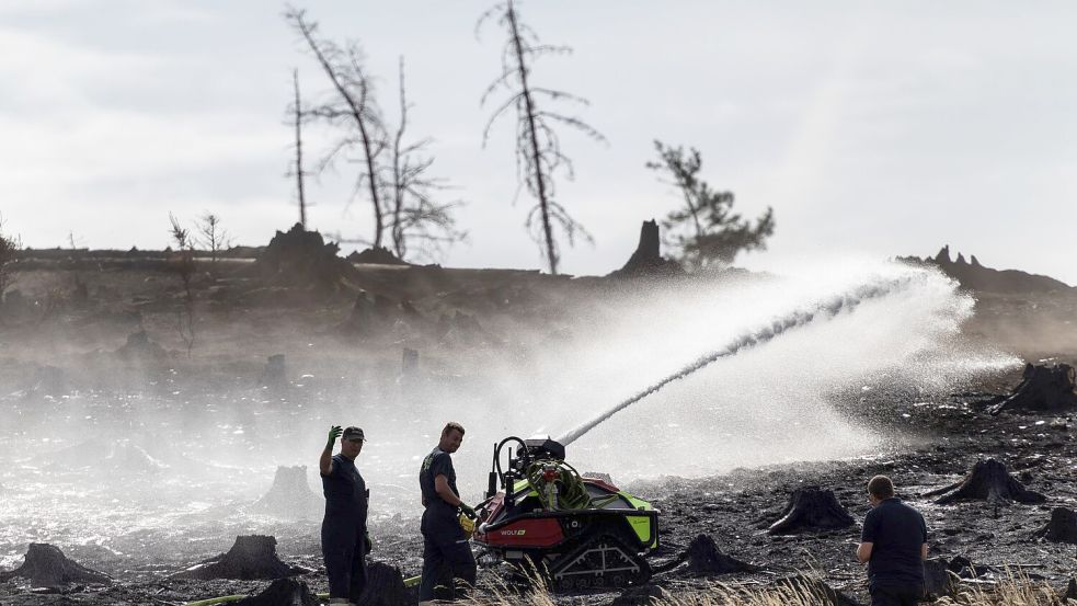 Feuerwehrleute bekämpfen versteckte Glutnester beim Waldbrand auf der Saalfelder Höhe. Foto: Michael Reichel/dpa