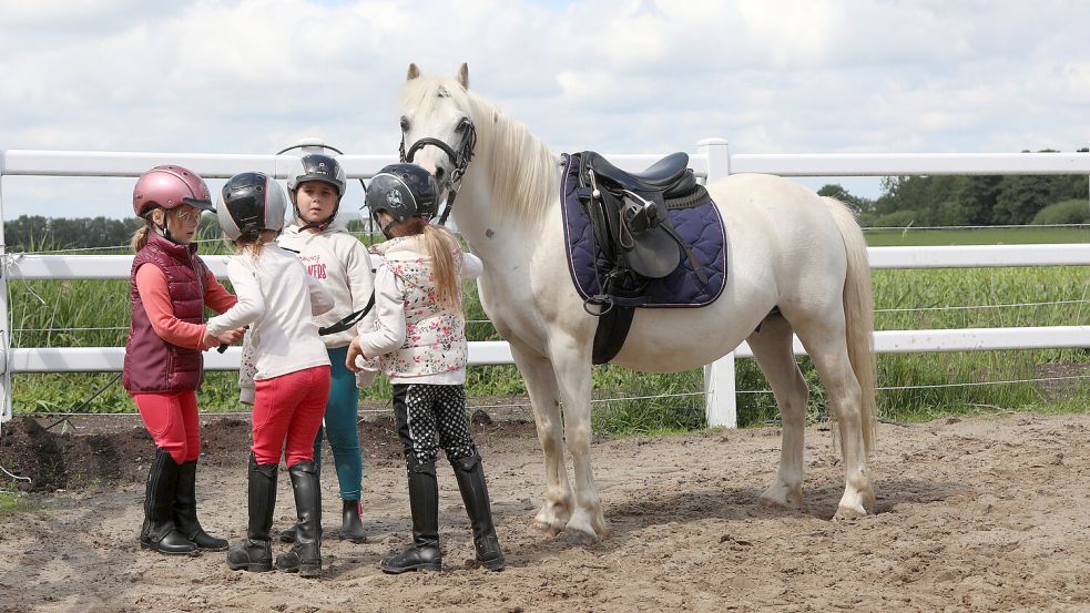 Teamarbeit ist unter den Kindern gefragt, etwa wenn Pony „Johnny“ lieber stehenbleiben will, statt weiterzulaufen. Foto: Romuald Banik