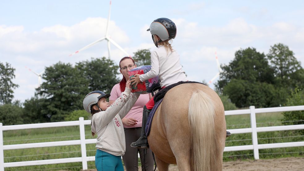 Gegenseitiges Unterstützen bei den Aufgaben, etwa einen Würfel hochreichen, gehört bei der Arbeit mit den Ponys dazu. Mit dem Würfel wird die nächste Aufgabe vom Pony aus erwürfelt. Foto: Romuald Banik