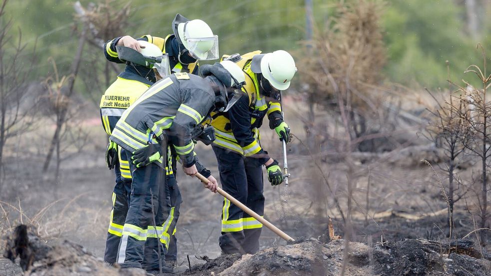 Versteckte Glutnester werden die Feuerwehrleute noch einige Tage nach dem Waldbrand auf der Saalfelder Höhe beschäftigen. Foto: Michael Reichel/dpa