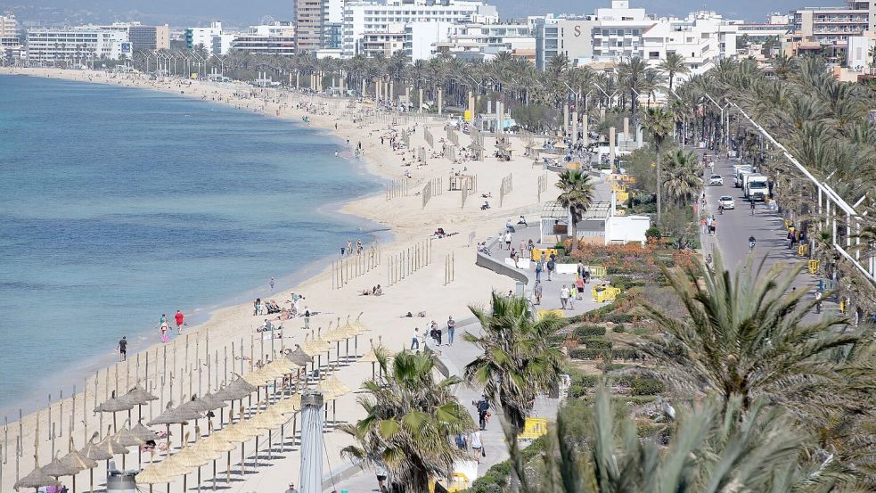 Spanien: Blick auf den Strand Playa de Palma auf Mallorca. (Archivbild) Foto: Clara Margais/dpa