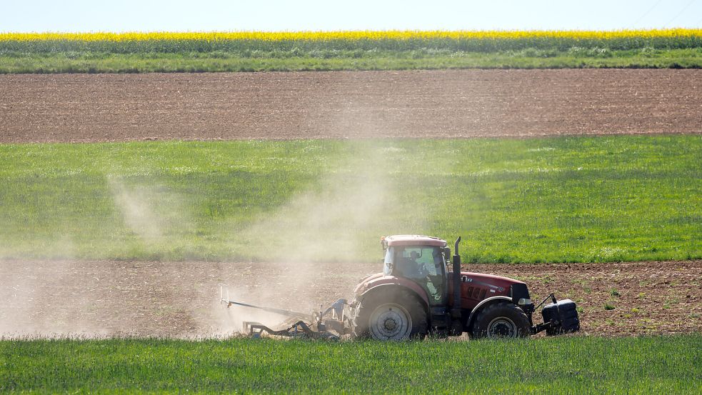 Der niederländische Bauer soll seine Flächen trotz extensiver Landwirtschaft noch naturfreundlicher beackern. Foto: dpa/Daniel Karmann