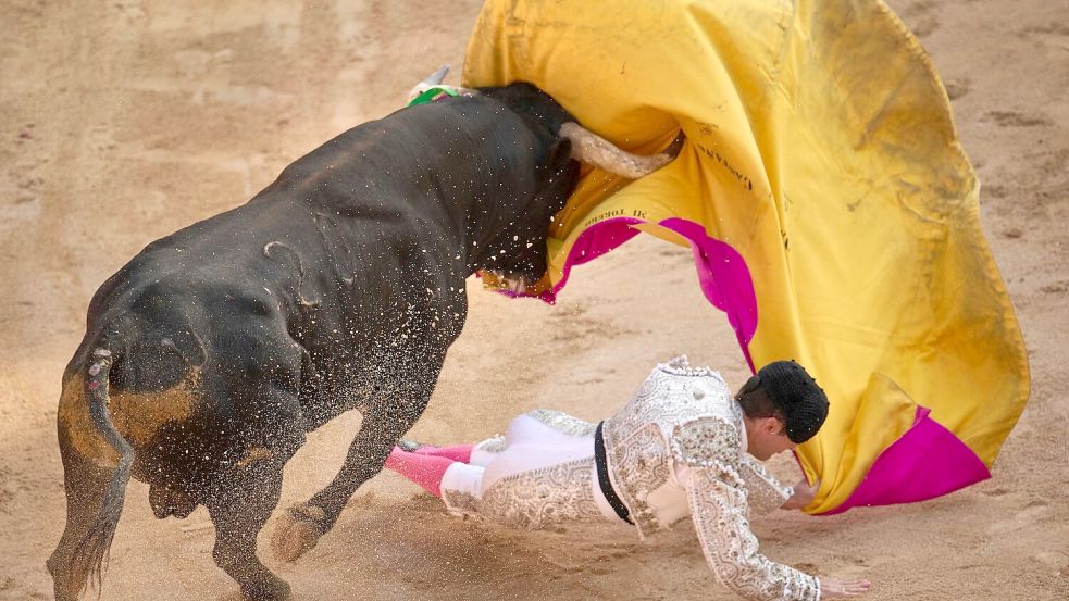 Stierkampf ist in Spanien ein geschütztes Kulturgut. (Archivbild) Foto: Miguel Oses/AP/dpa