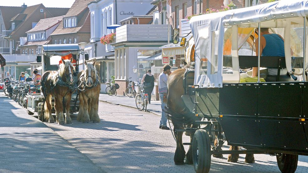 Die Insulaner haben entschieden: Juist soll auch in Zukunft eine Pferdeinsel bleiben. Foto: DPA