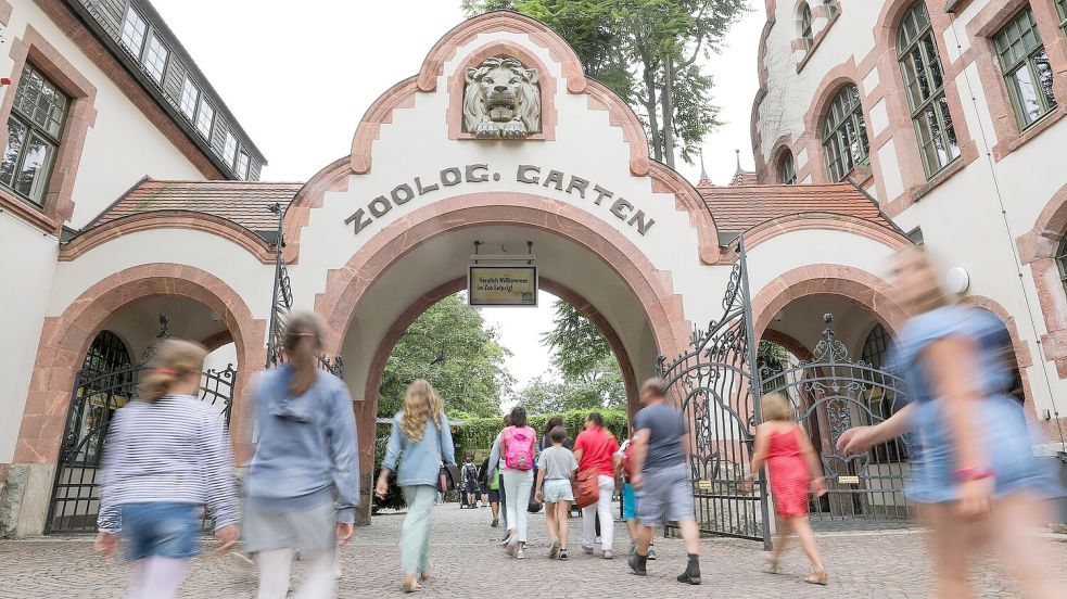 Drei Tigerbabys wurden eingeschläfert. (Symbolbild) Foto: Jan Woitas/dpa-Zentralbild/dpa