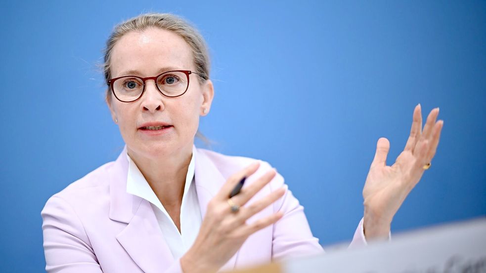 Das lief gar nicht gut für die schwarz-rote Koalition: Die Wahl der Juristin Frauke Brosius-Gersdorf ans Bundesverfassungsgericht scheiterte kurz vor der Sommerpause an der Union. (Archivbild) Foto: Britta Pedersen/dpa