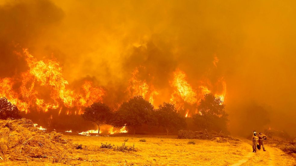 Die Brandbekämpfer sehen sich teilweise mit riesigen Feuerwänden konfrontiert, die durch stürmische Winde jederzeit schnell die Richtung ändern können. Foto: Lalo R. Villar/AP/dpa