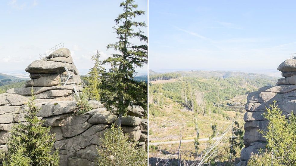 Der Ottofelsen im Harz 2014 und 2023: Seit 2018 gibt es im Harz ein immenses Baumsterben. Damals warf ein Orkan zahlreiche Bäume um. Das Totholz in Verbindung mit der Trockenheit in den vergangenen Jahren führte zu einer besonders starken Ausbreitung des Borkenkäfers und zu einem massiven Fichtensterben. Foto: Julian Stratenschulte/dpa