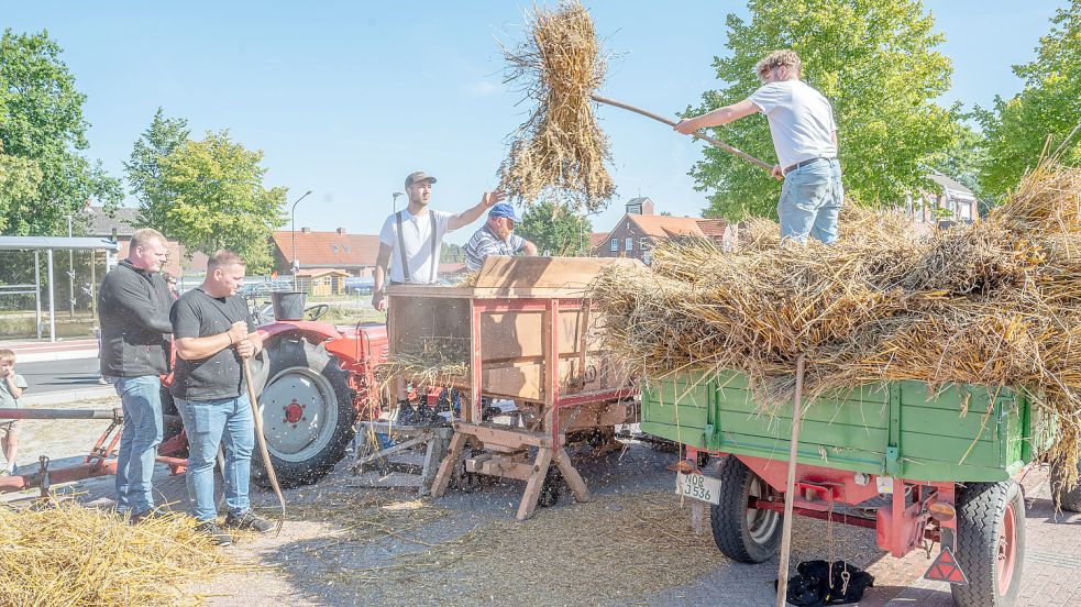 Mitglieder des Döschkevereins Rechtsupweg zeigen, wie in früheren Zeiten Getreide gedroschen wurde. Foto: Folkert Bents