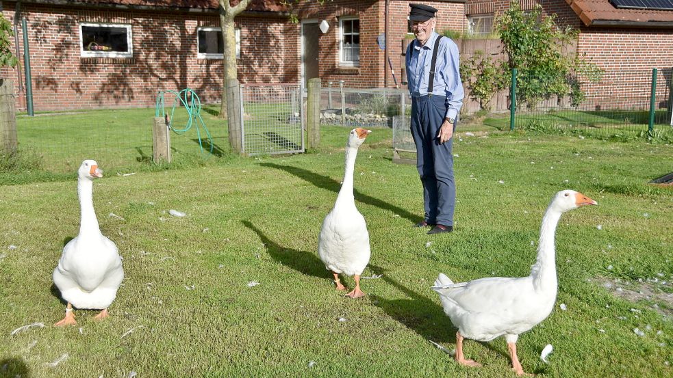 Ludwig Smidts ganzer Stolz sind seine drei Emder Gänse Paul, Pauline und Wilma. Die zwei, vier und fünf Jahre alten Tiere sind preisgekrönt. Foto: Thomas Dirks