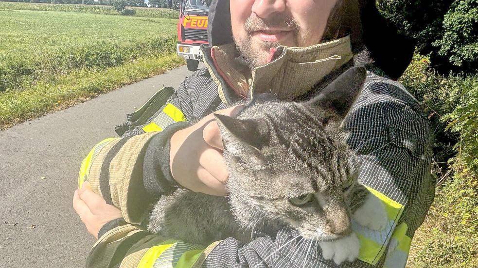 Nach der Rettung war die Katze bei der Feuerwehr in guten Händen. Foto: M. Wiese/Feuerwehr