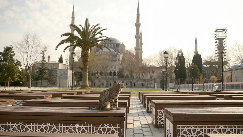 Das Kopftuch ist in der Türkei weiter umstritten, auch abseits von Gebetsstätten wie etwa die Blaue Moschee in Istanbul. (Archivbild) Foto: Emrah Gurel/AP/dpa