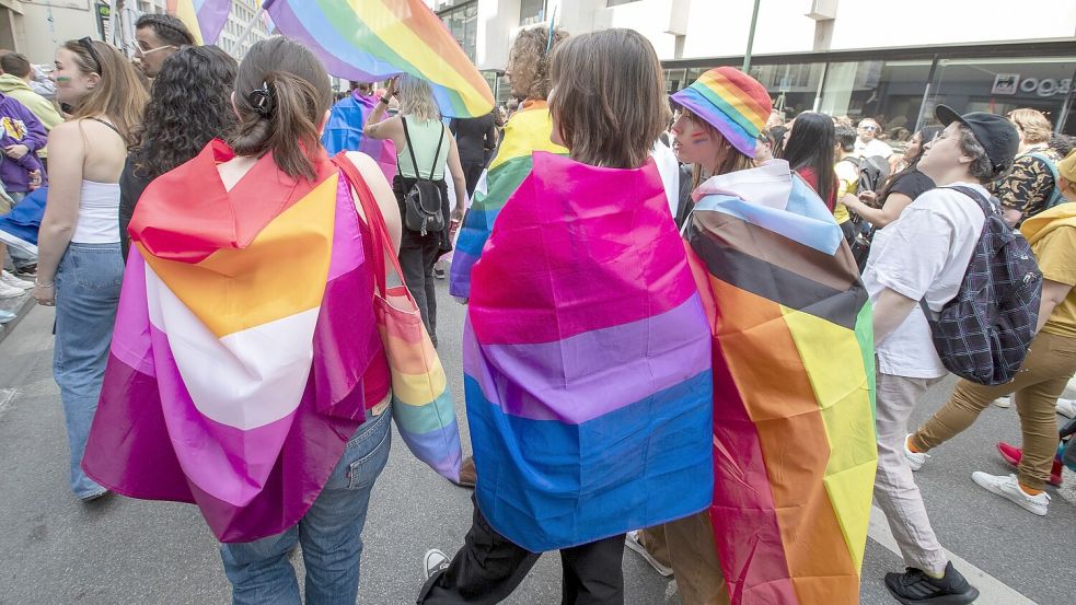Die Flagge der Bisexuellen (Mitte). Foto: DPA