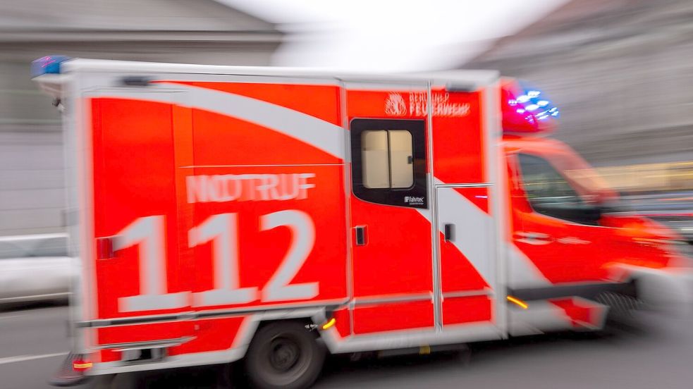 Eine Betreuerin kam in einem Zeltlager in Schleswig-Holstein durch einen umgestürzten Baum ums Leben. (Symbolbild) Foto: Monika Skolimowska/dpa