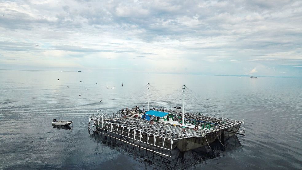 Bagans - für die Fischerei verwendete Plattformen - sind in Indonesien für viele der Verletzungen bei Walhaien verantwortlich. Foto: M.V. Erdmann/dpa