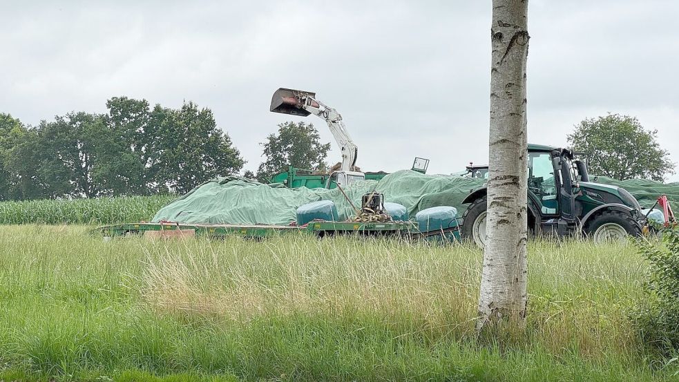 Am 18. Juli 2025 entstand dieses Foto: Der Abfallhaufen war nach der ersten Kritik an der Ablagerung zusammengefahren und mit Folie abgedeckt worden. Wenig später wurden Teile des Haufens nach Siegelsum auf ein Privatgrundstück gebracht. Foto: Holger Janssen