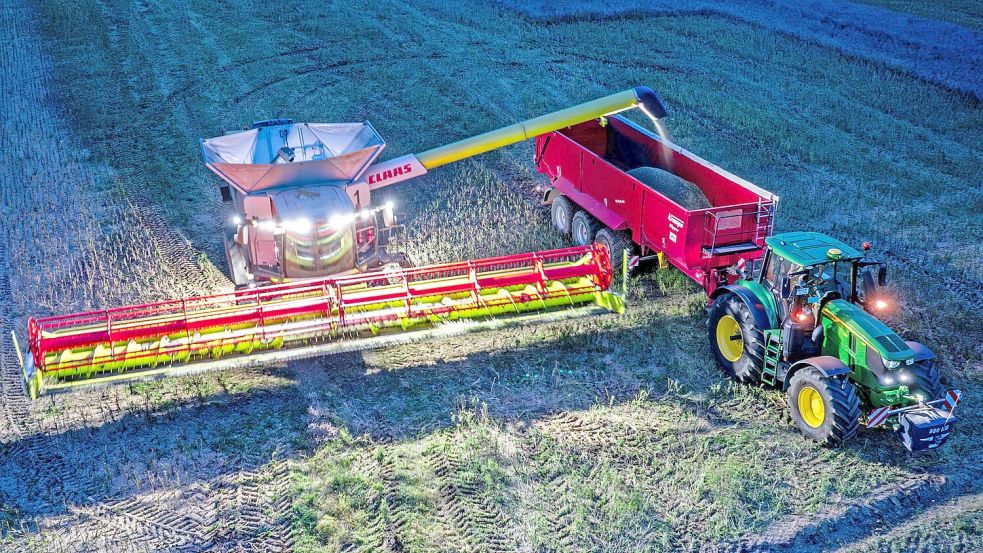Ein Mähdrescher bei der Rapsernte. Foto: DPA