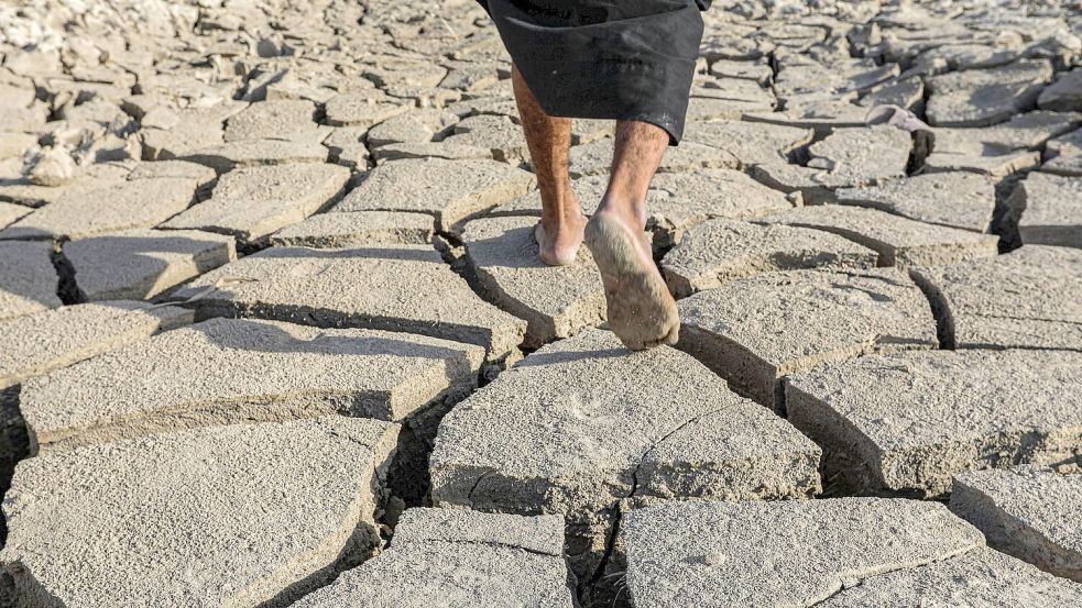 Das Gebiet um den Euphrat gilt als Wiege der Zivilisation - und vertrocknet. Foto: Nabil al-Jurani/AP/dpa