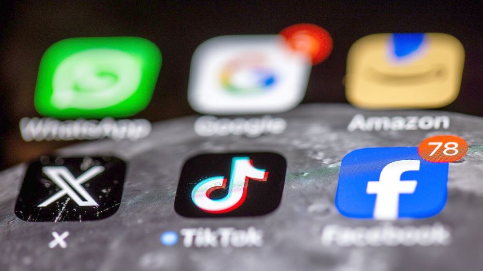 Social Media sind die dominante Freizeitbeschäftigung vieler Kinder und Jugendlicher, doch laut Ifo-Umfrage sind TikTok und Co. einer großen Mehrheit in Deutschland suspekt. (Symbolbild) Foto: Jens Büttner