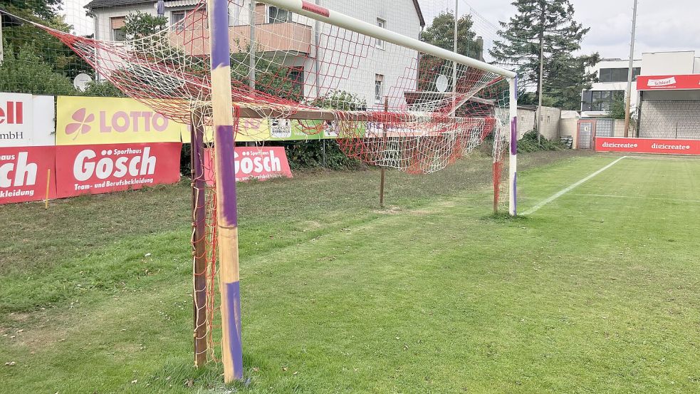 Die in lila Farbe übermalten Torpfosten im Wilhelm-Langrehr-Stadion des TSV Havelse. Foto: Benjamin Kraus