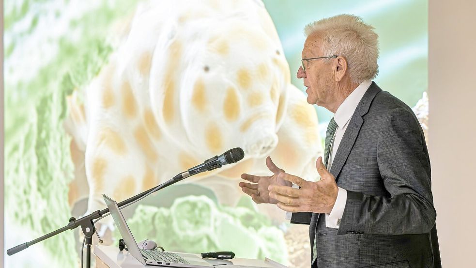 Winzig und doch bärenstark: Die neu entdeckte Bärtierchenart „Ramazzottius kretschmanni“. Foto: Philipp von Ditfurth/dpa