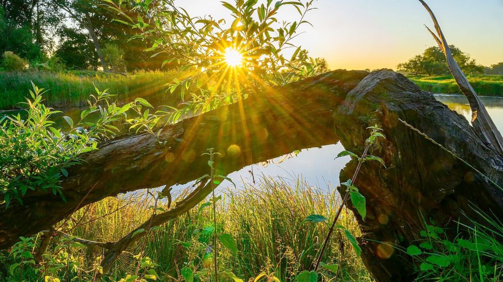 Die Sonne zeigt sich am Wochenende nicht so häufig. (Symbolbild) Foto: Patrick Pleul