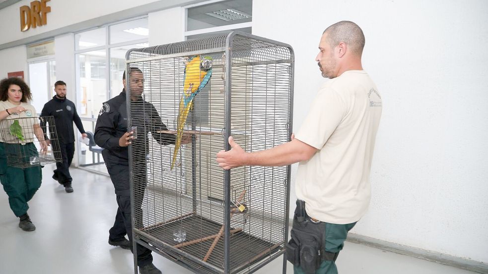 Laut Polizei bringt der Tierhandel der organisierten Kriminalität Millionen ein. Foto: Fabiano Veneza/SEAS RJ/dpa