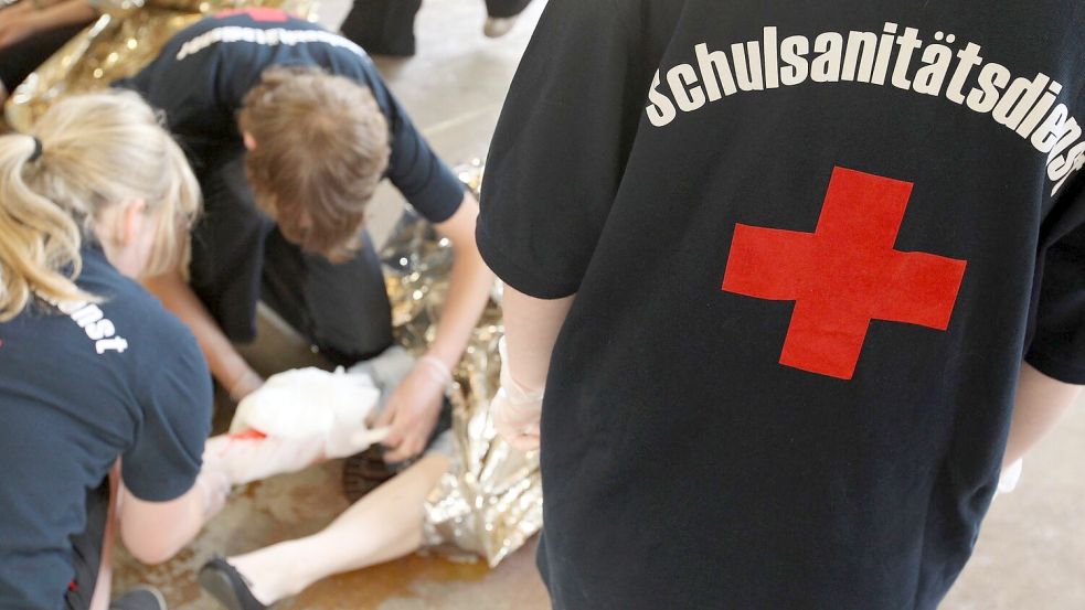 In Hessen und dem Saarland sind Wiederbelebungskurse in der Schule bereits Pflicht, NRW will folgen. (Symbolbild) Foto: Friso Gentsch