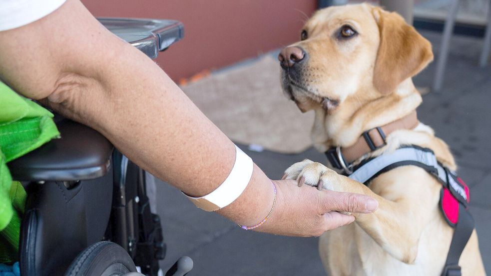 Auf das Kommando „Guten Tag“ begrüßt Chima die Patientin am Klinikum Osnabrück. Foto: Swaantje Hehmann