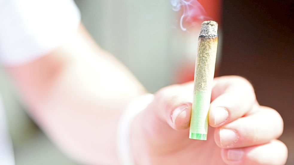 Junge Erwachsene greifen einer neuen Studie zufolge häufiger zu Cannabis als früher. (Illustration) Foto: Michael Brandt