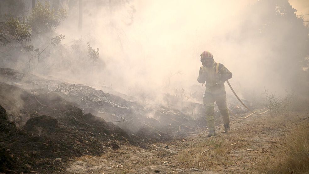 In Portugal wurde eine Fläche so groß wie das Saarland von den Flammen zerstört. (Archivbild) Foto: Elena Fernandez