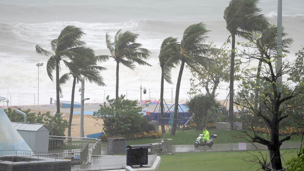 Die kräftigen Winde ließen örtlich Bäume umknicken. Foto: Ng Han Guan/AP/dpa
