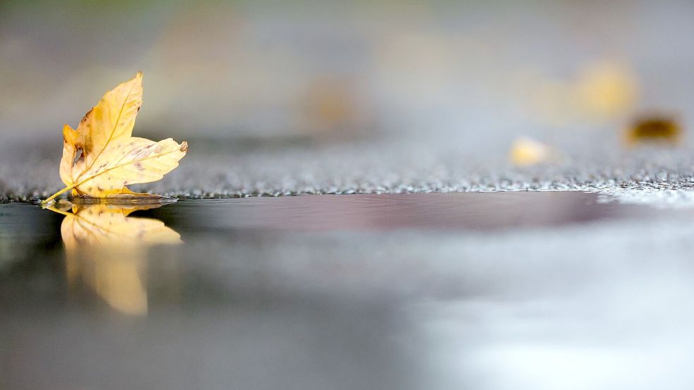 Noch hält sich die herbstliche Zweiteilung beim Wetter in Deutschland. (Archivbild) Foto: Thomas Warnack/dpa