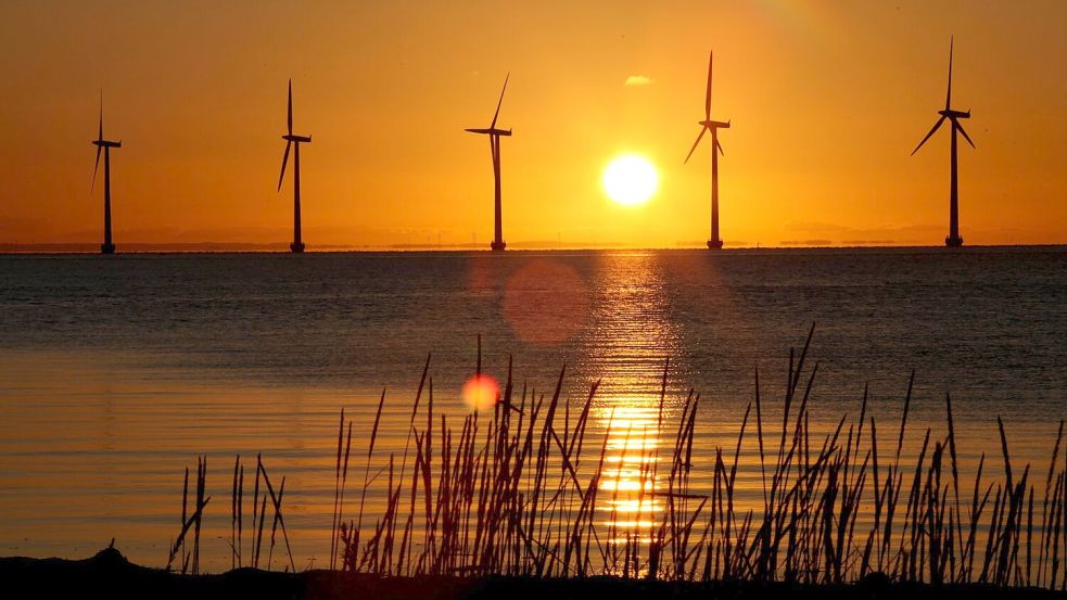 In Sachen Klimawende gilt Europa als weltweiter Vorreiter. (Illustration) Foto: Steffen Trumpf/dpa