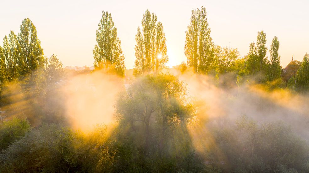 Schöne Herbsttage in Niedersachsen: Die Sonne strahlt am Morgen, der Nebel lichtet sich. Foto: dpa/Julian Stratenschulte