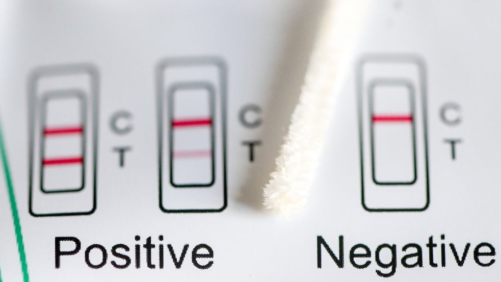 Positiv oder negativ - das zeigt ein Test an. (Symbolbild) Foto: Jens Kalaene