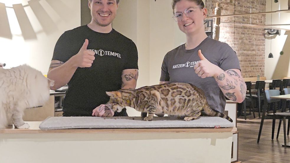 Bringen die Restaurantkette Katzentempel nach Osnabrück: die Franchisenehmer Maximilian Micheel und Lale Schnütgen, hier in ihrer Filiale in Bremen. Foto: Maximilian Micheel