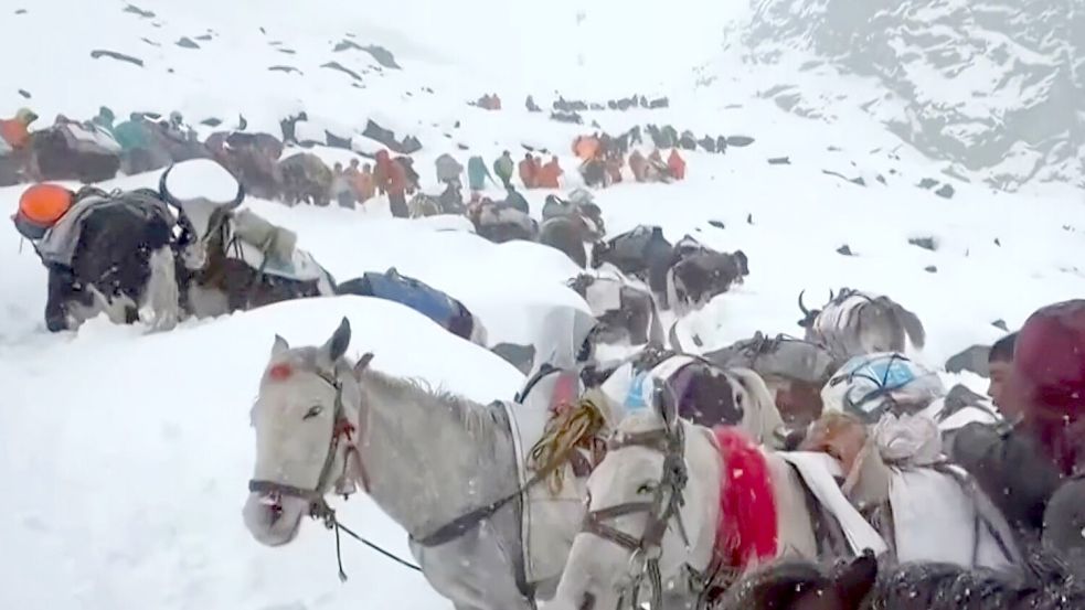 Dorfbewohner stiegen mit Pferden und Ochsen auf den Mount Everest, um zu den Wanderern zu gelangen. (Archivbild) Foto: Lingsuiye/Xinhua/dpa