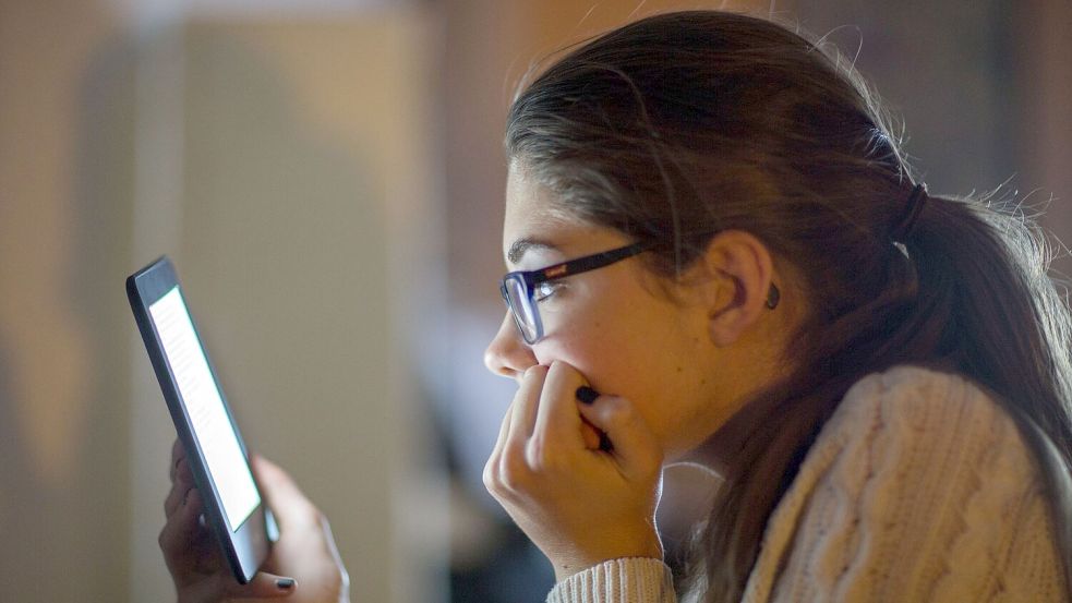 Mehr Menschen in Deutschland lesen E-Books. (Symbolbild) Foto: Jens Büttner/zb/dpa