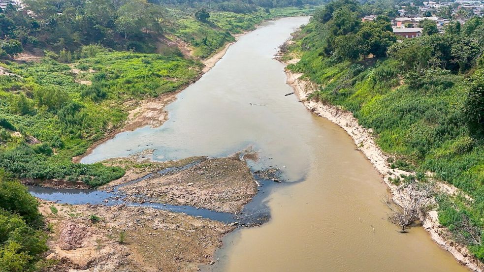 Der Amazonas gehört zu den gefährdeten Systemen. Foto: Marcos Vicentti/AP