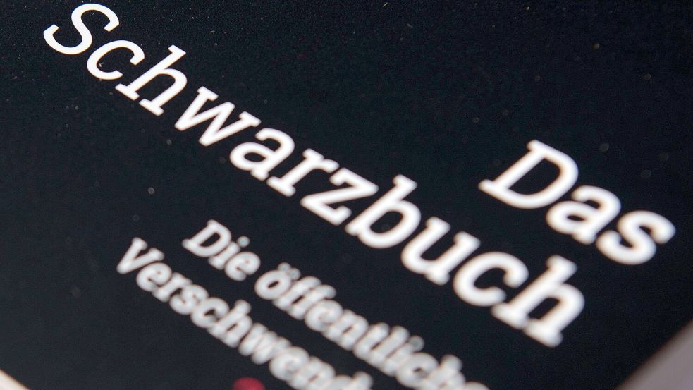 Das "Schwarzbuch" des Bundes der Steuerzahler sammelt Fälle von Steuerverschwendung. Foto: dpa/Ralf Hirschberger