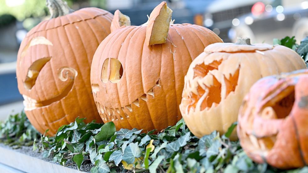 Ausgehöhlte Kürbisse mit gruseligen Fratzen in einem Vorgarten in Frankfurt am Main. (Archivbild) Foto: Arne Dedert