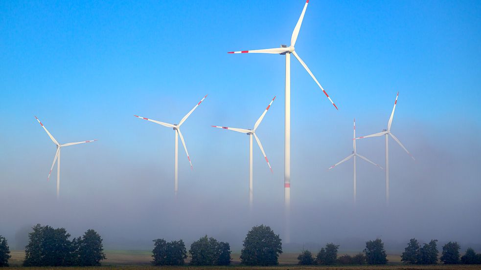 Am frühen Morgen ragen Windenergieanlagen aus dem Nebel. Foto: DPA