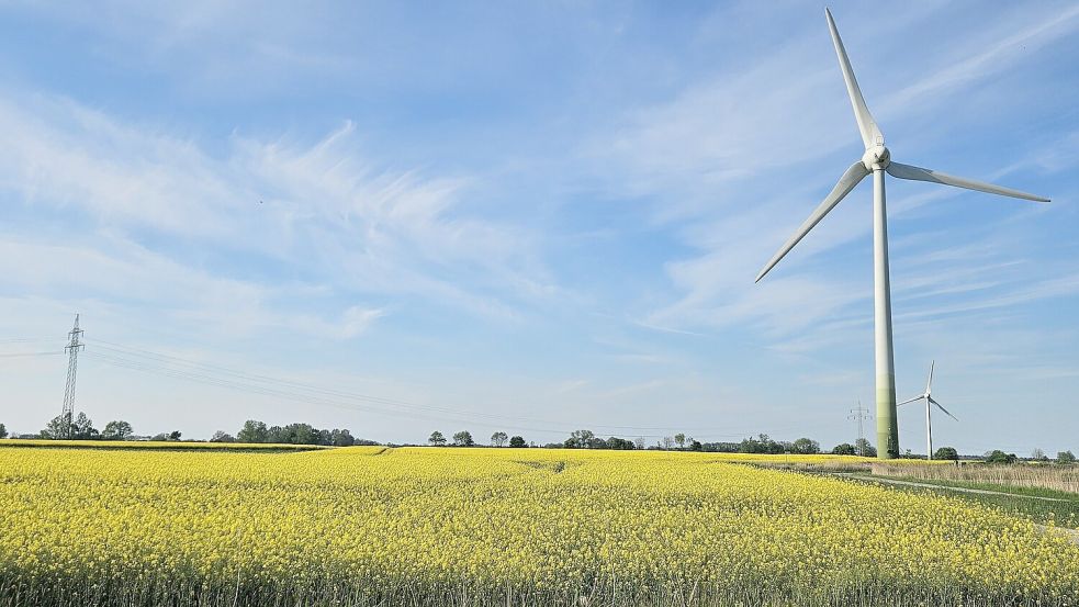 Einige der neuen Anlagen werden in der Gemeinde Osteel (hier Teile des bestehenden Windparks am Wirdeweg) errichtet werden. Foto: Sarah Dirks