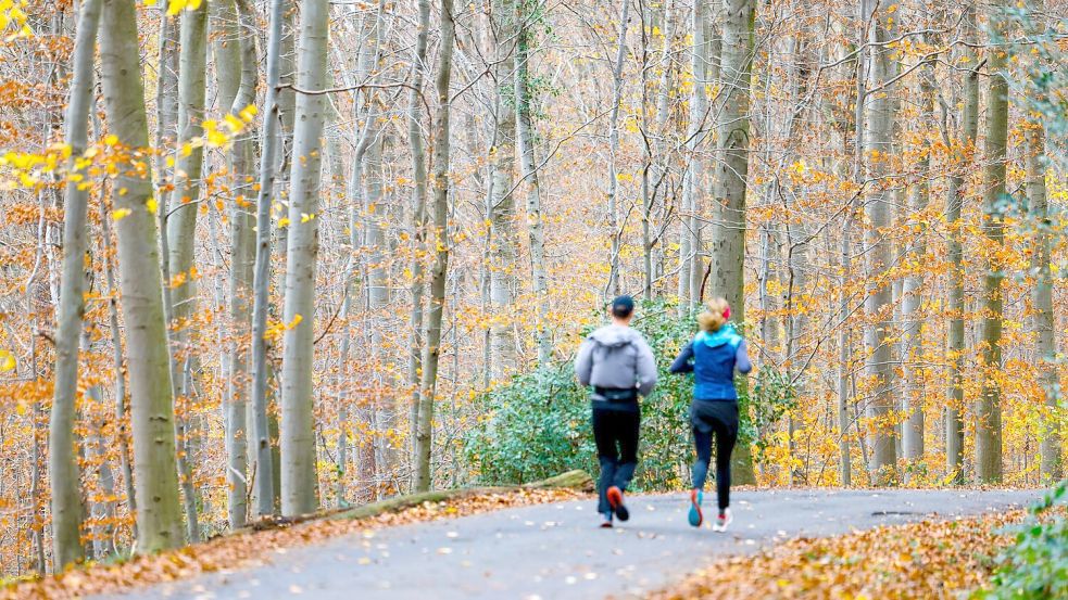 Wenn sich der Nebel lichtet, wird es in vielen Teilen Deutschlands sonnig. Foto: Thomas Banneyer