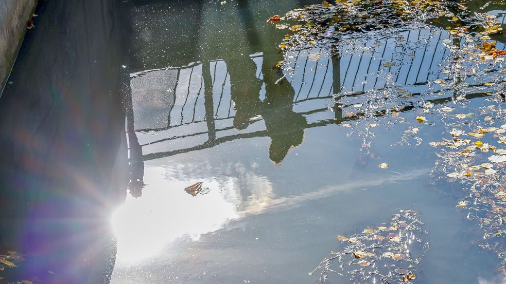 Spaziergang an der Hase in Osnabrück. Foto: Jörn Martens