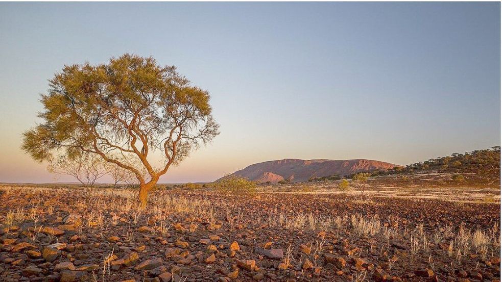 Das Outback in Australien ist eine raue und unwirtliche Gegend. Foto: AGAMI/G. Steytler