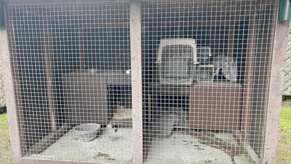 In diesen Boxen auf dem Gelände des Ihlower Bauhofs werden Fundtiere in der Gemeinde derzeit untergebracht. Foto: Imke Cirksena