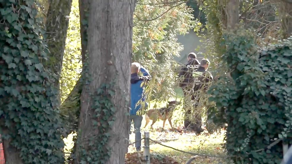 Spürhunde sind auf dem Gelände untwergs. Foto: Ivo Böhme/dpa
